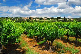 BODEGA ADEGA VALDES