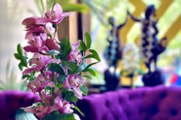 THAI GARDEN BY EMLIO CARCUR
