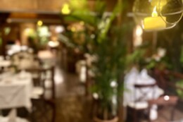 THAI GARDEN BY EMLIO CARCUR