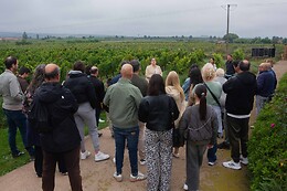 BODEGAS CORRAL