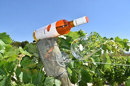 BODEGAS SANTA MARGARITA