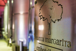 BODEGAS SANTA MARGARITA