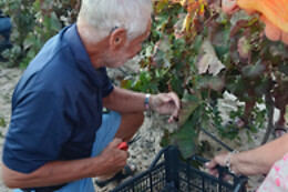 BODEGAS SANTA MARGARITA