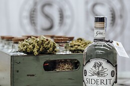 LA GIN DEL CANTABRICO SIDERIT