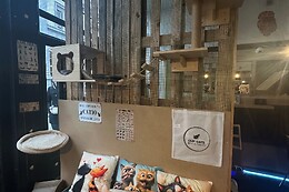 Cup Cats - Bar à Chats