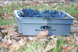 BODEGAS PAGO DE LARRAINZAR