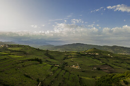 Cantina Castello