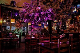 Ristorante Italiano Pizzeria Romagna