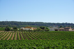 BODEGA PARATÓ