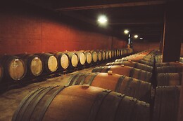 BODEGA PARATÓ