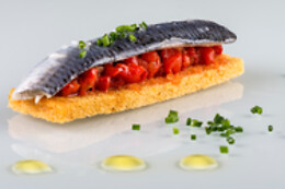 TRADEVO NERVIÓN