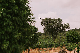 BODEGA VALDEALTO