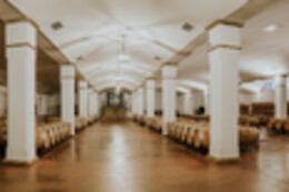 BODEGA VALDEALTO