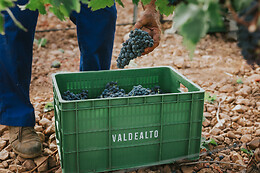 BODEGA VALDEALTO