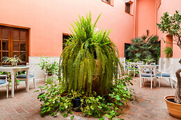 HOTEL PALACIO LAS MANILLAS