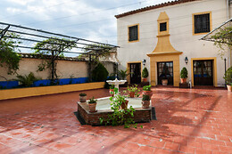 HOTEL PALACIO LAS MANILLAS