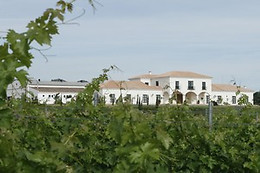 BODEGA VALDEALTO