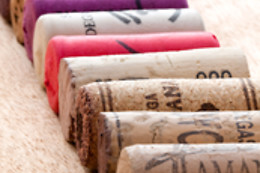 BODEGAS Y VIÑEDOS CASTIBLANQUE
