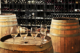 ARBAS BODEGAS Y VIÑEDOS