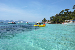 Seafirst Skylife Vision
