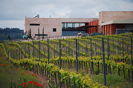 BODEGAS COMENGE
