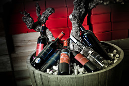 BODEGA DOÑA FELISA