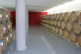 BODEGA SILVANO GARCIA