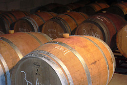 CELLERS BARONIA DEL MONTSANT