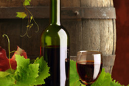 BODEGA SILVANO GARCIA