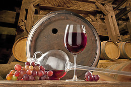 SALAS DE CATA POPYWINE