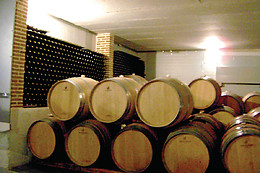 BODEGA ECOLOGICA LUIS SAAVEDRA