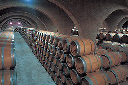 BODEGAS IRACHE