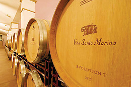 BODEGA VALDEALTO