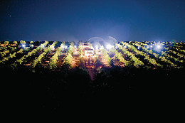 PAGO DE LAS ENCOMIENDAS VIÑEDOS Y BODEGAS