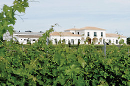 BODEGA VALDEALTO