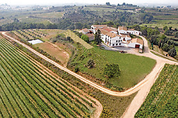 BODEGA MIQUEL JANÉ