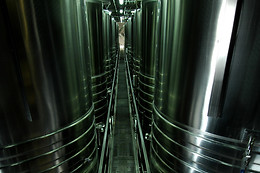 BODEGAS LAUS