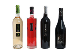 PAGO DE LAS ENCOMIENDAS VIÑEDOS Y BODEGAS