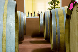 PAGO DE LAS ENCOMIENDAS VIÑEDOS Y BODEGAS