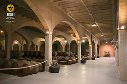 BODEGAS SAN ISIDRO