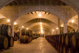 BODEGAS SAN ISIDRO