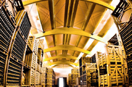 BODEGAS LOS PINOS