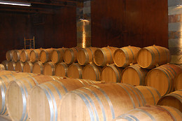 BODEGA FINCA CARDABA