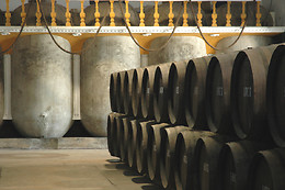 BODEGAS SAUCI