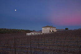 BODEGA DOÑA FELISA