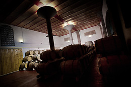 BODEGA DOÑA FELISA