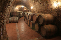 BODEGAS RENALTERRA