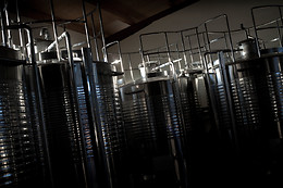BODEGA DOÑA FELISA