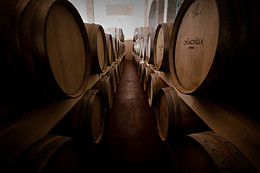 BODEGA DOÑA FELISA