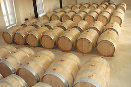 BODEGAS ZIFAR